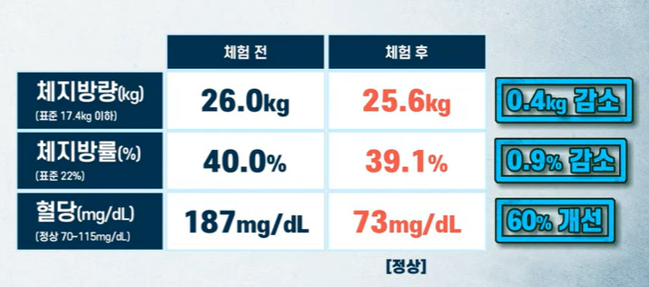 자이언트 파바빈 효능