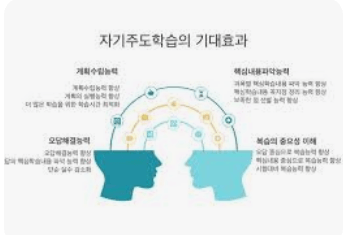 자기주도 학습의 비밀