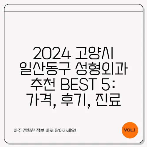 2024 고양시 일산동구 성형외과 추천 BEST 5: 가격, 후기, 진료