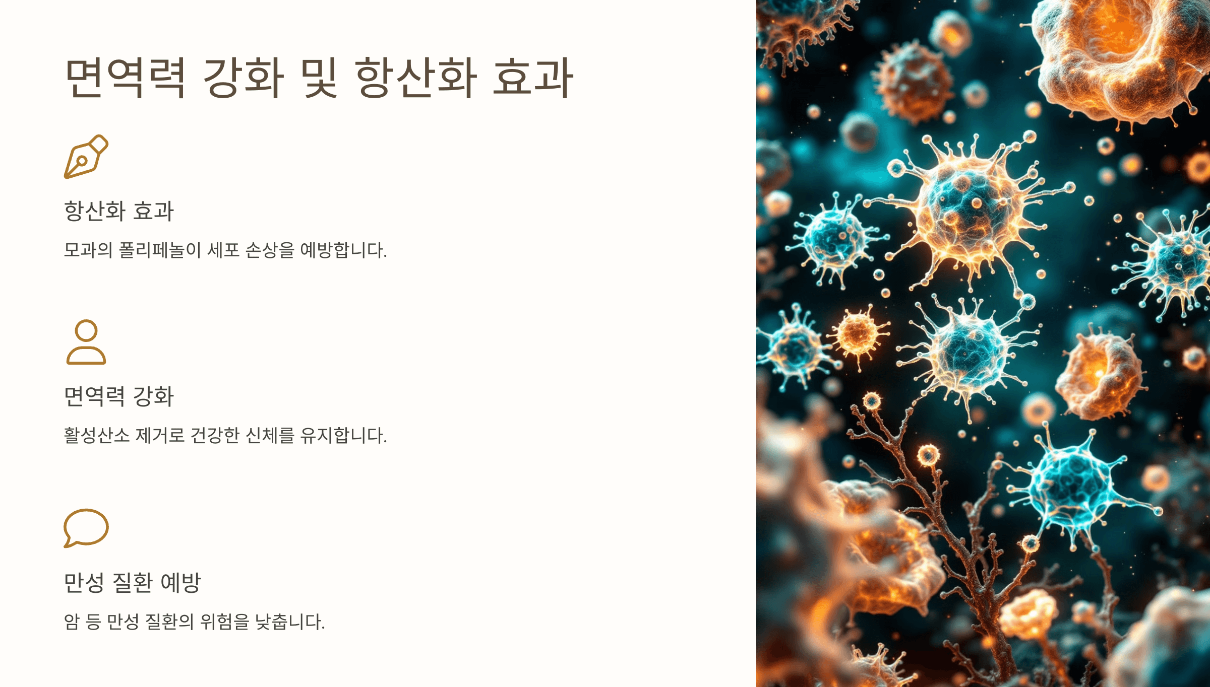 모과차 사진입니다.