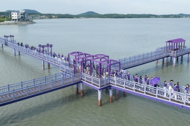 퍼플섬-반월도-다리