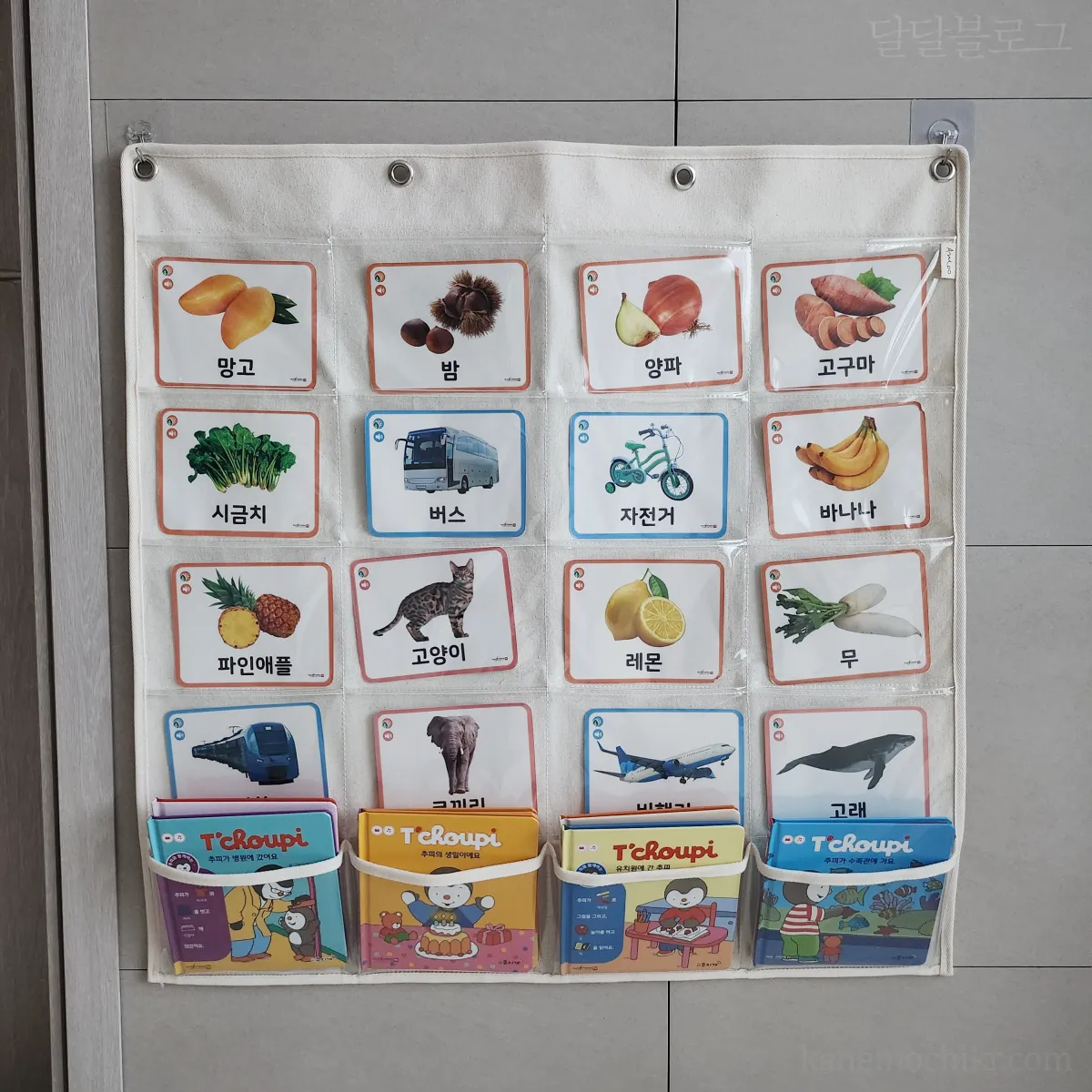 낱말카드정리-포켓-아무차트