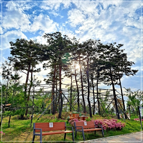 청라해변공원캠핑장-전경