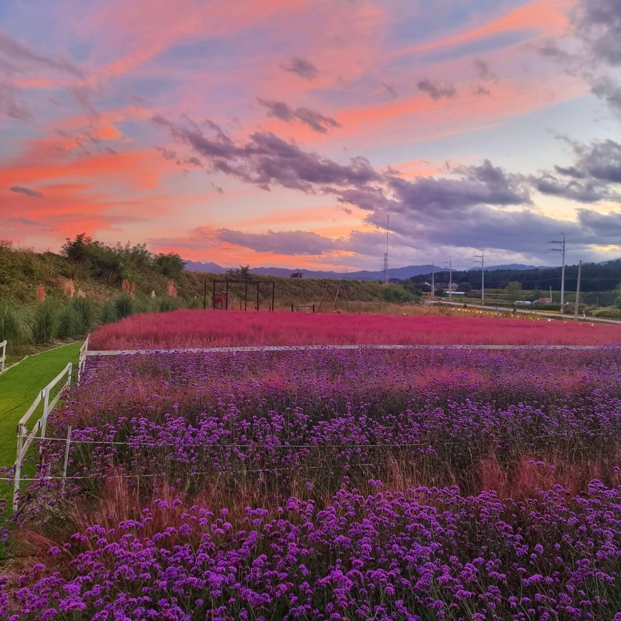 오늘N 대한민국 보물정원 강원 춘천 유기농 카페 오늘N 2503회