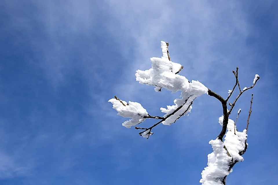 겨울산