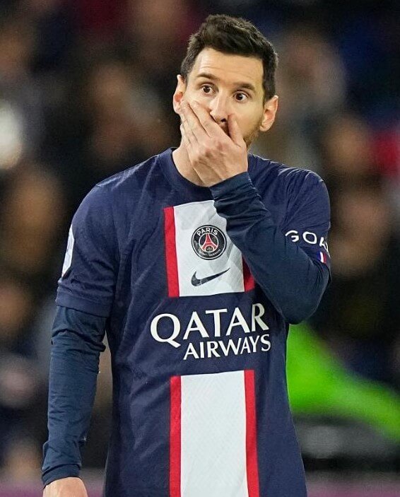 메시-사진입니다.