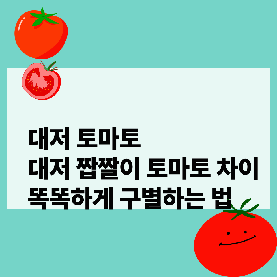 대저-토마토