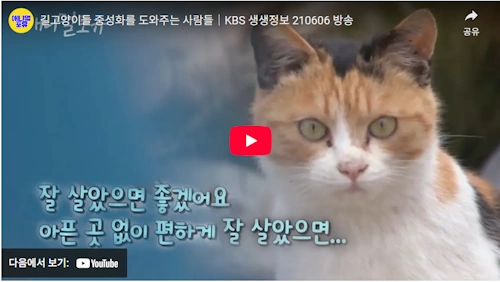 길고양이 중성화 TNR