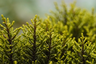 [이스라엘-이란 군사 충돌&amp;#44; 중동 정세 긴박]