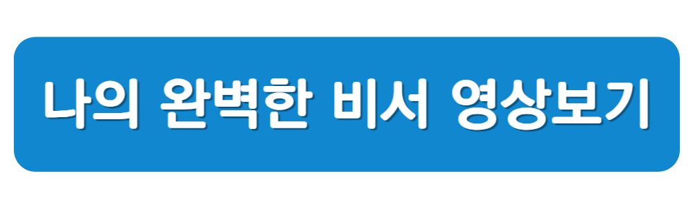 나의 완벽한 비서 시청하기