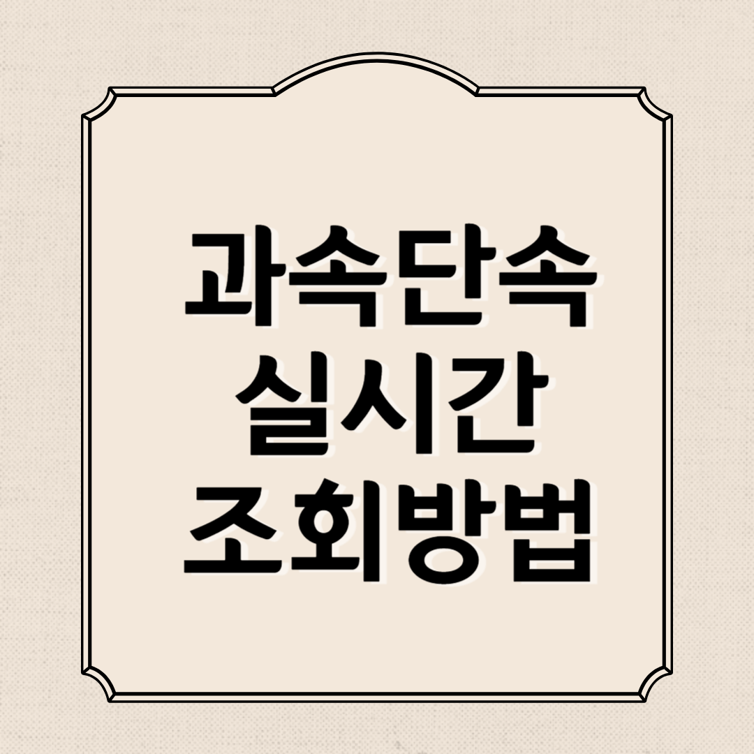 과속단속조회 실시간, 속도위반 실시간 조회방법