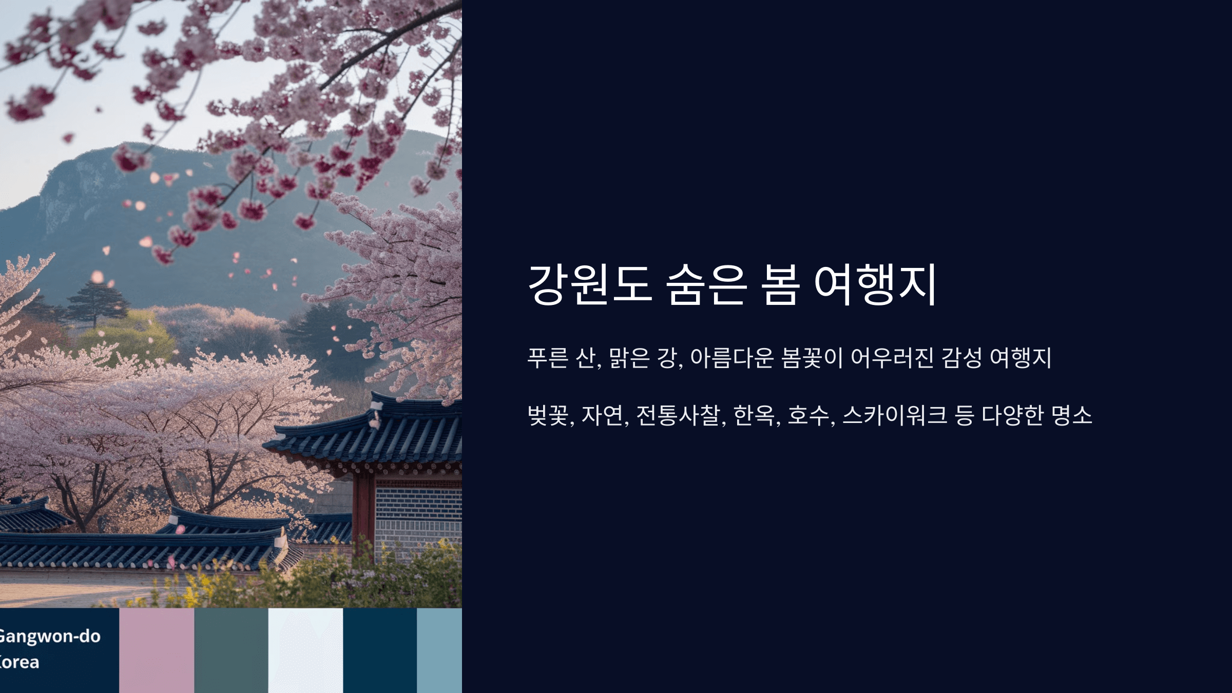 강원도 숨은 봄 여행지 추천! 감성 가득한 명소 모음