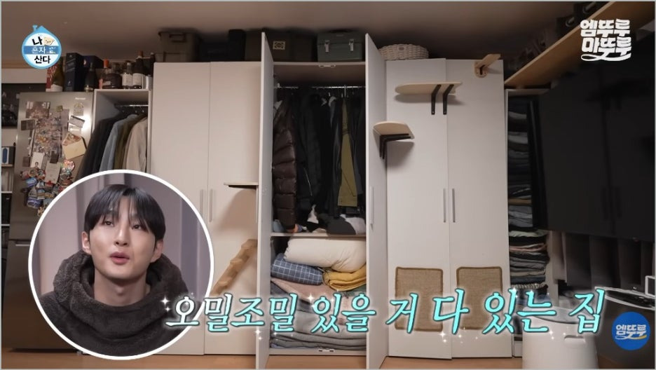 배나라 6년 원룸 생활건강법 식단 8분 완성반숙계란 토마토올리브유주스 레시피