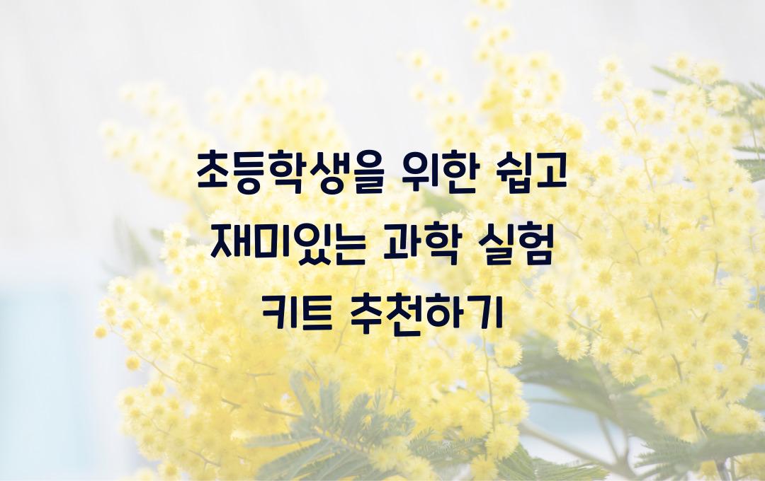 초등학생을 위한 쉽고 재미있는 과학 실험 키트 추천