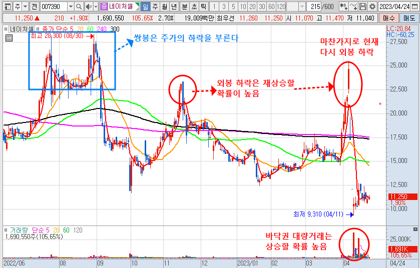 4월 24일 네이처셀 주가 일봉 차트 분석