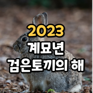 썸네일 입니다.