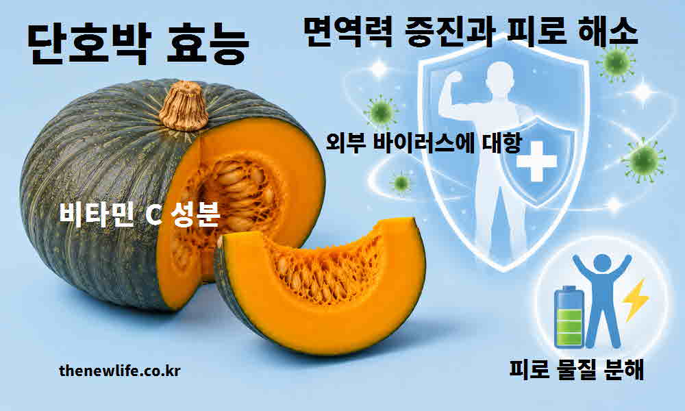 단호박 효능 면역력 증진 피로 해소
