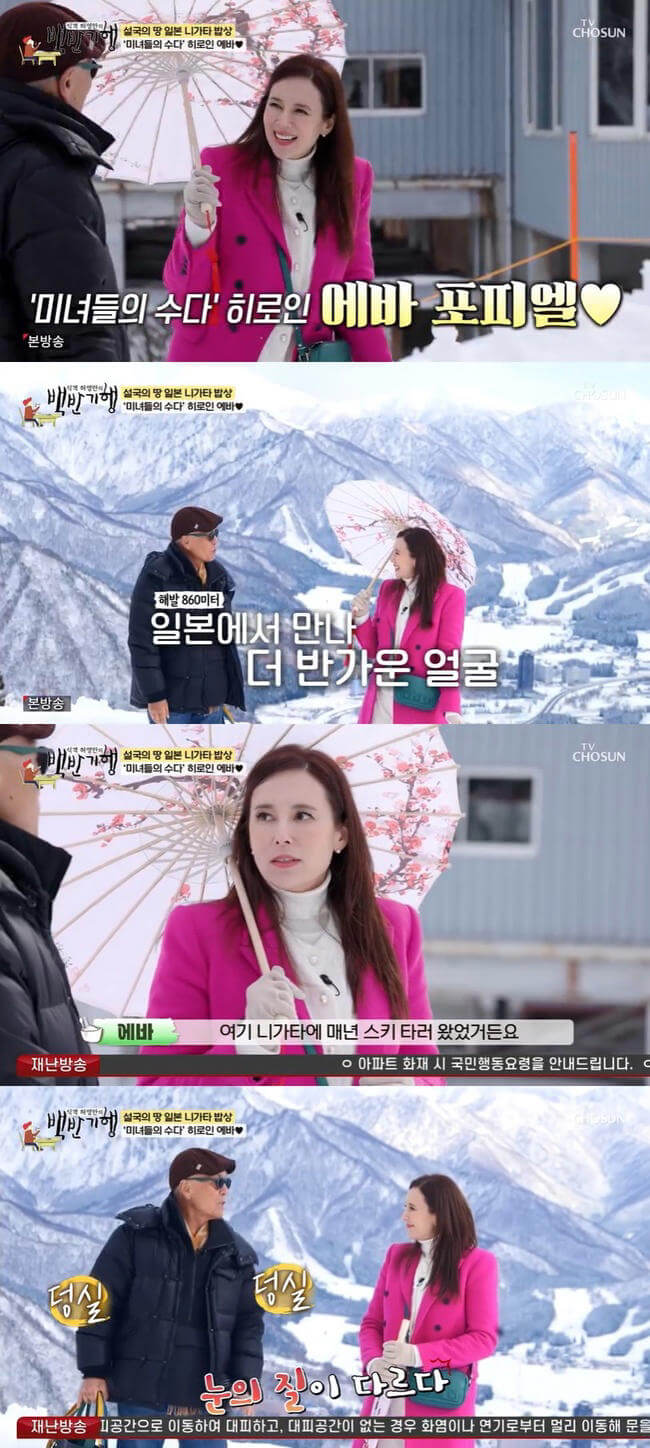 에바 포피엘 백반기행