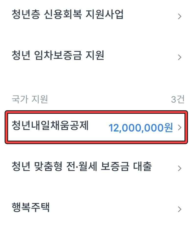 토스 정부지원금