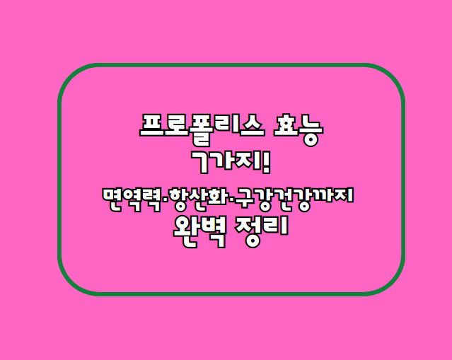 프로폴리스 효능 7가지! 면역력·항산화·구강 건강까지 완벽 정리