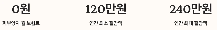 직장가입자 피부양자와 지역가입자 비교 수치 정리