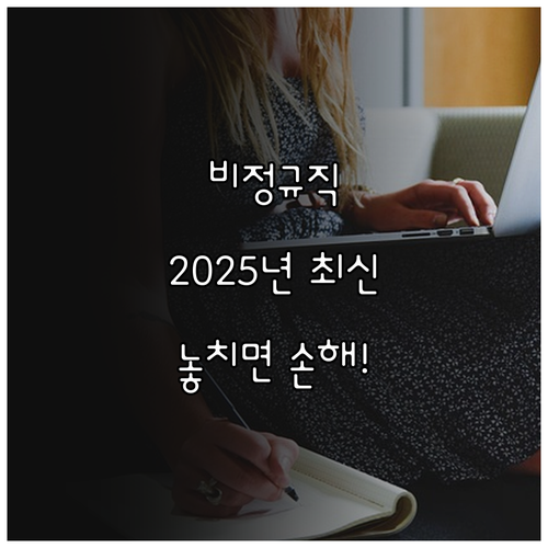 고용노동부 2025 비정규직 차별 개..