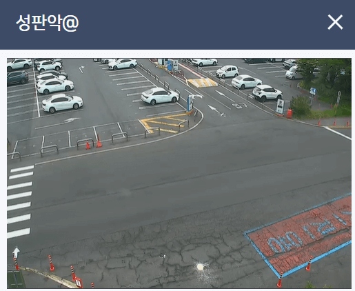 실시간 제주도 날씨&amp;#44; CCTV로 보는 방법