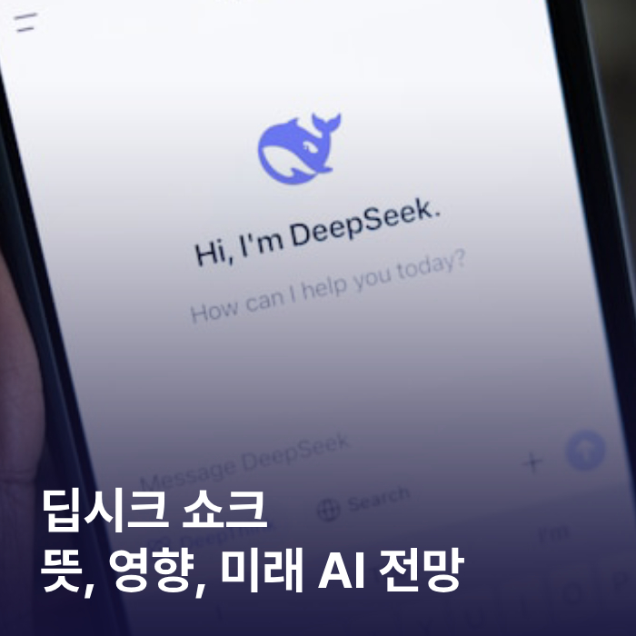 딥시크 쇼크 뜻, 영향, 미래 AI 전망