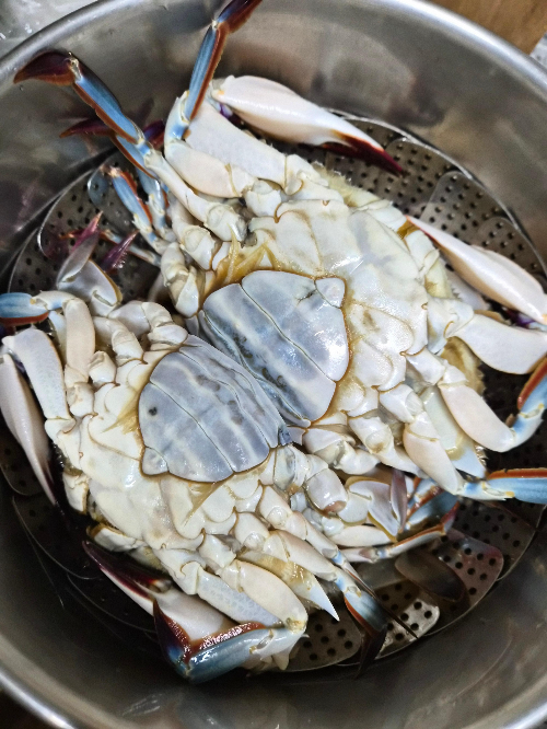 꽃게