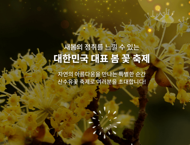 2025 구례 산수유 축제 관련사진