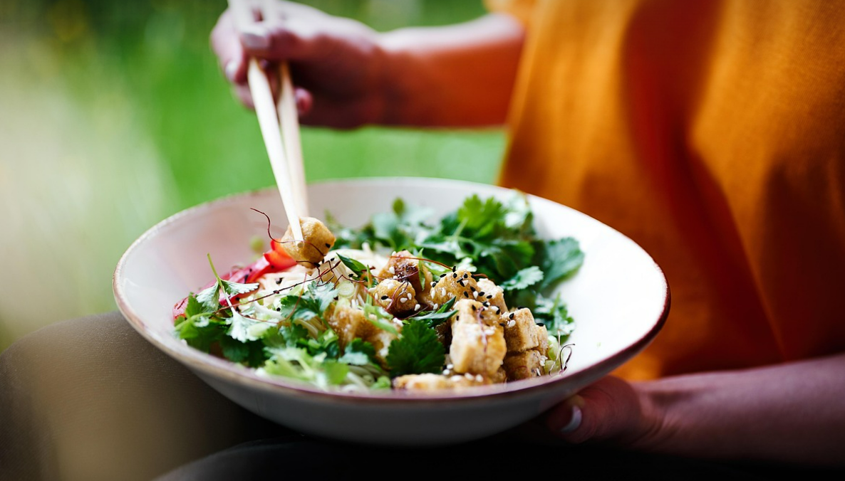 채식 식단과 킥복싱 효과