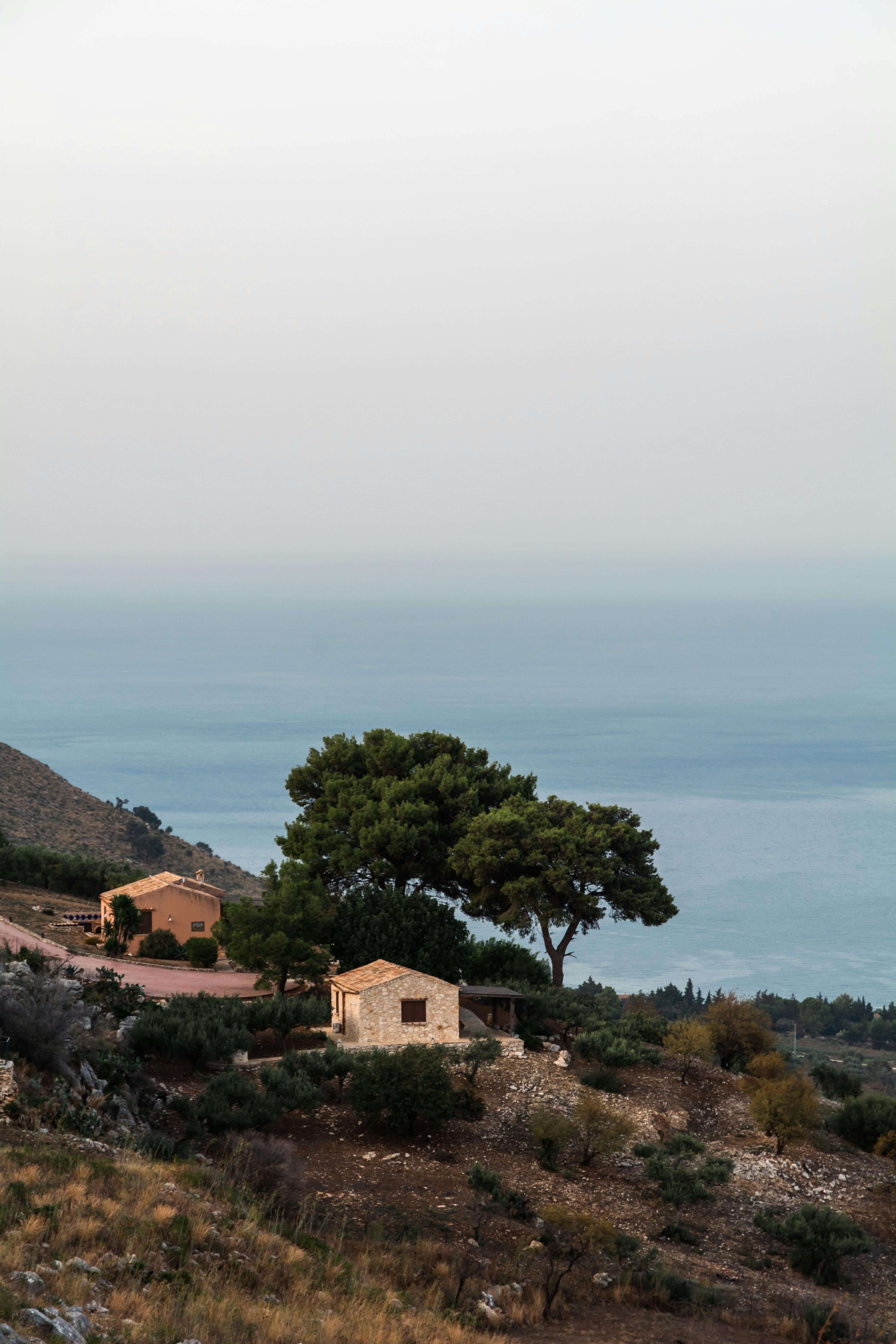 중세 유럽의 봉건제와 토지 소유