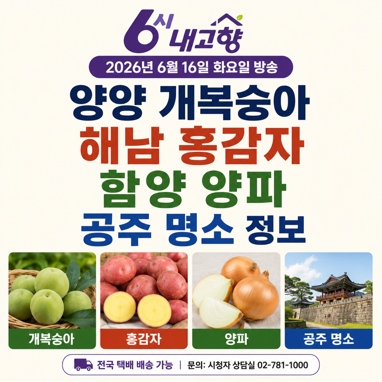 6시 내고향