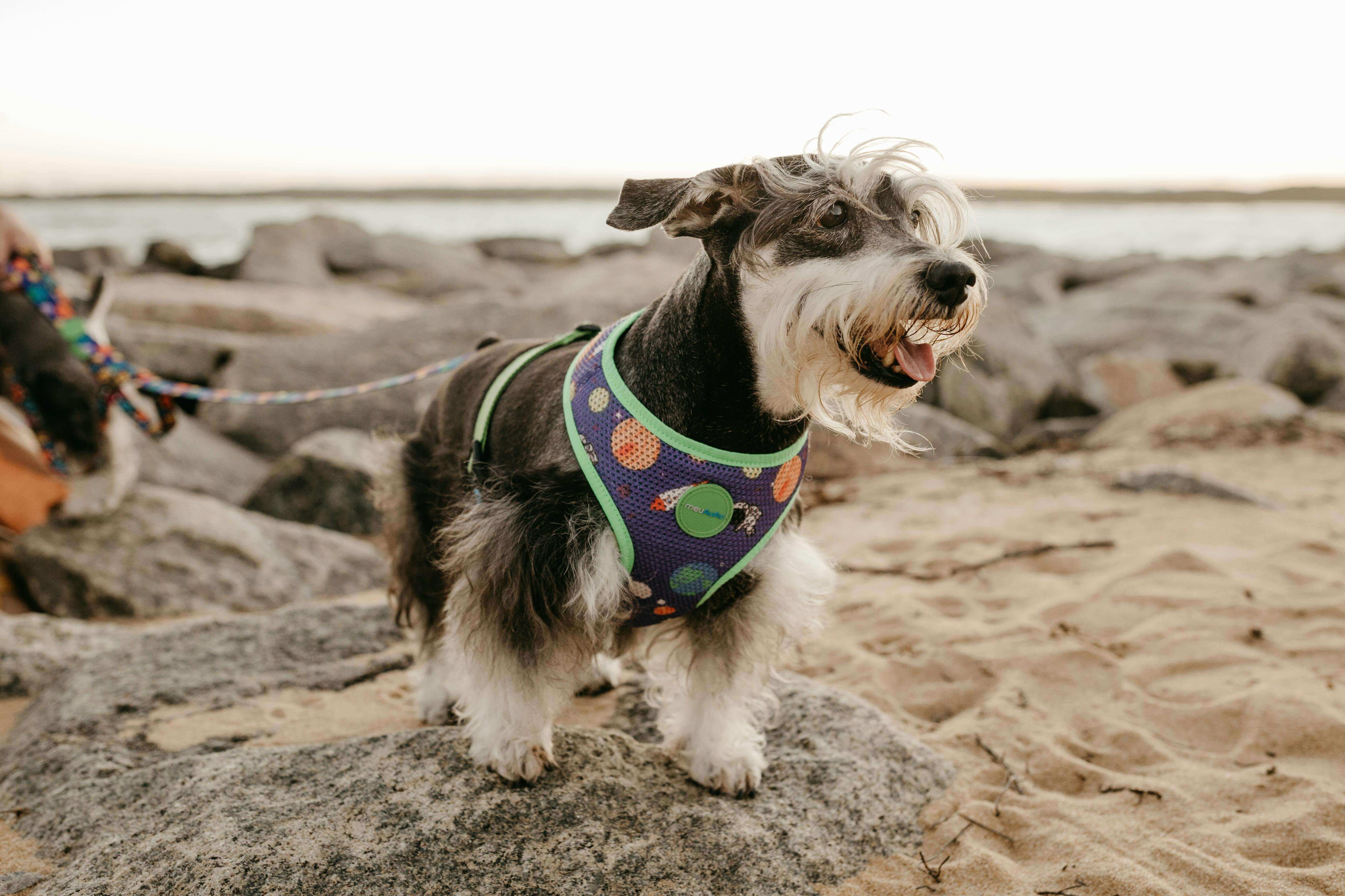 2025 질병별 진료비 비교표 공개│보험 가입 전 꼭 알아야 할 보장율 차이