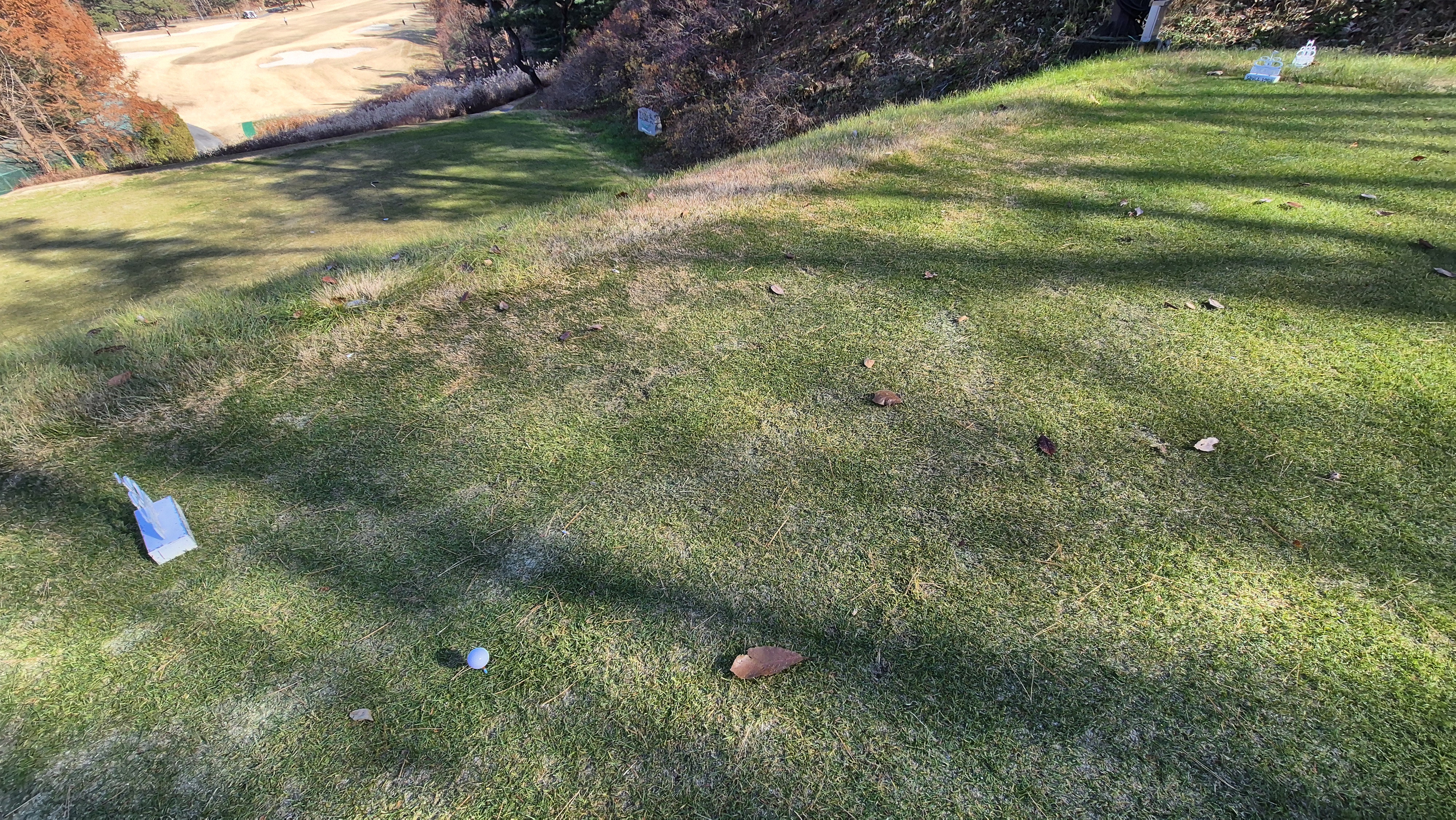 88cc 서코스 라운드 티잉구역상태