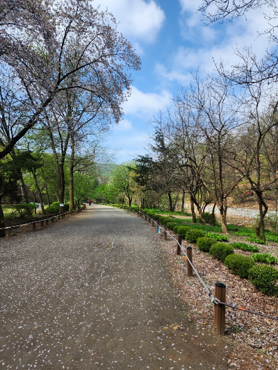 안양 수목원 이미지 사진