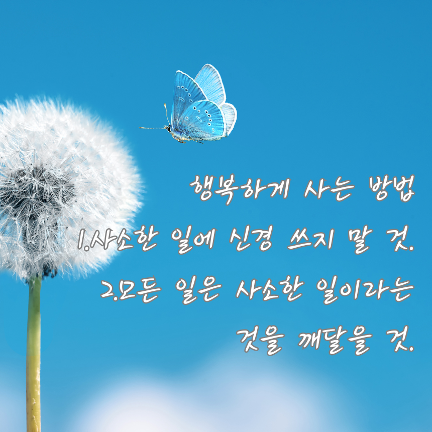 행복에 관한 짧고 좋은 글귀 명언 문구 이미지 모음
