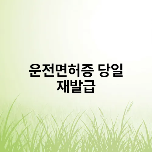운전면허증 당일 재발급
