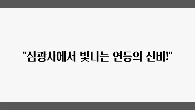 부천에서 부산으로, 삼광사 연등축제로 떠나는 여행