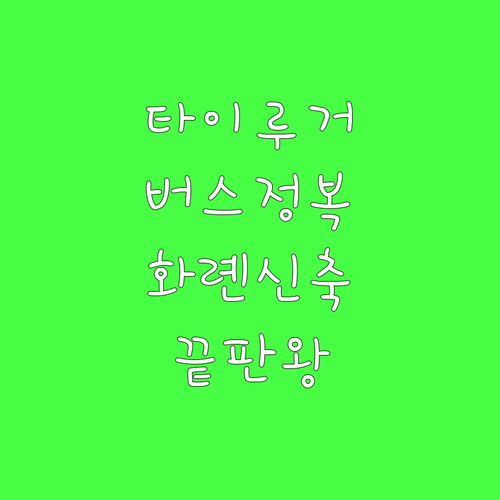 대만 타이루거 협곡 자유여행 1일권 ..