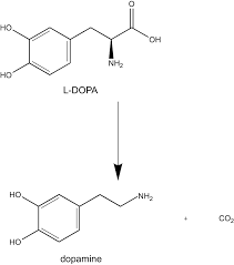 스마트폰 중독이 내 삶에 미치는 영향과 해결 방안