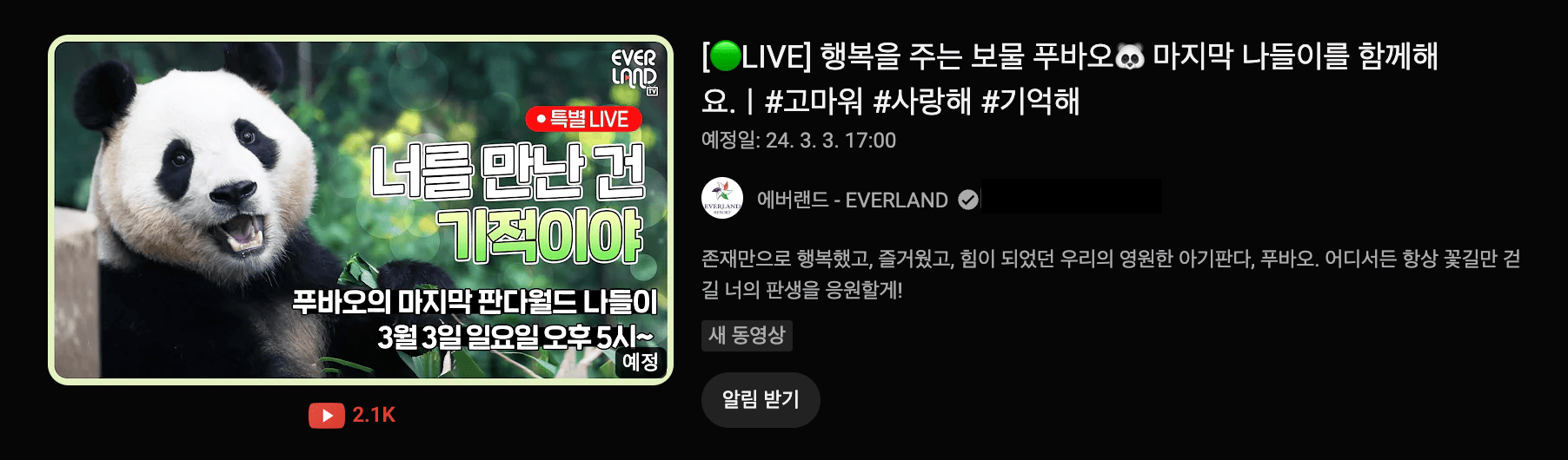 푸바오 유튜브 라이브 방송