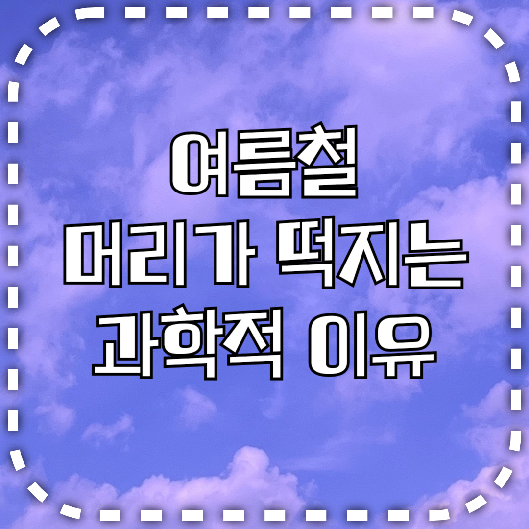 머리가 떡지는 과학적 이유와 여름철 떡짐 해결 방법