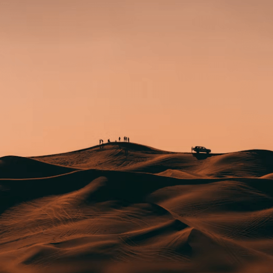 사우디 아람코 지분 매각