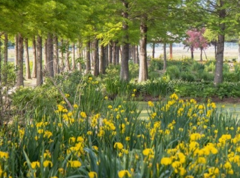 태안 청산수목원 여행지