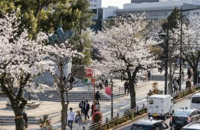 부산-한-달-살기-2