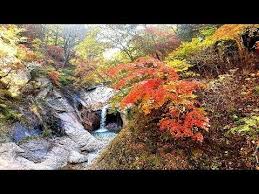 오색약수 설악산 단풍 