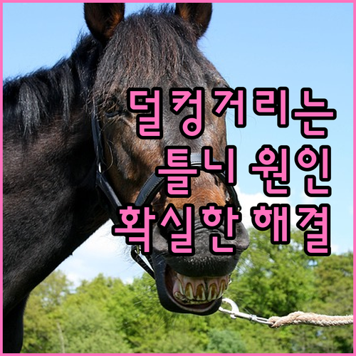 흔들리는 틀니 원인과 해결 방법 완벽