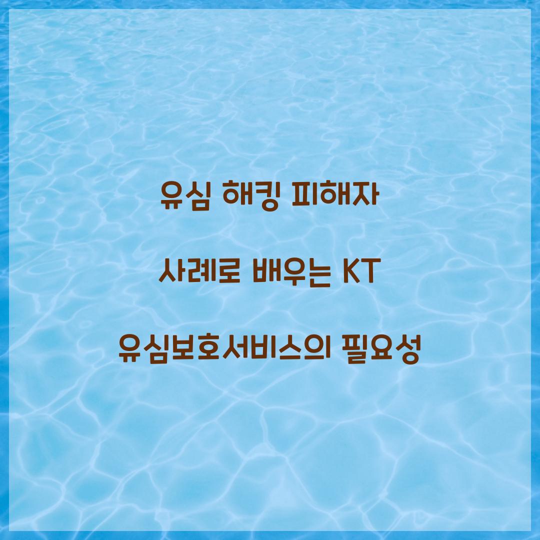 유심 해킹 피해자 사례로 배우는 KT 유심보호서비스 중요성
