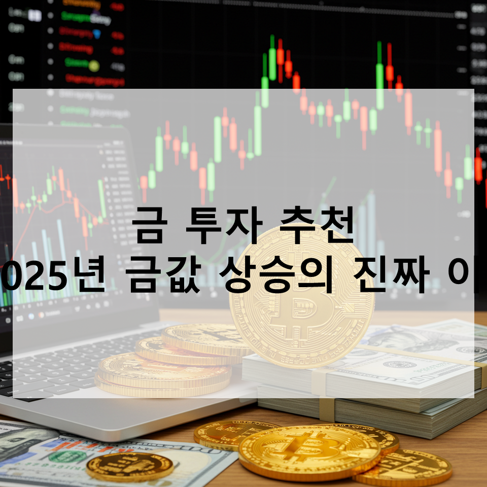 ๊ธํฌ์์ถ์ฒ